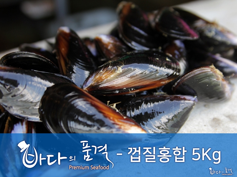 손질세척 홍합5kg